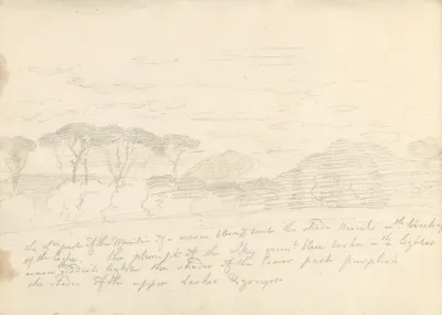 Landscape With Umbrella Pines And Distant Mountain