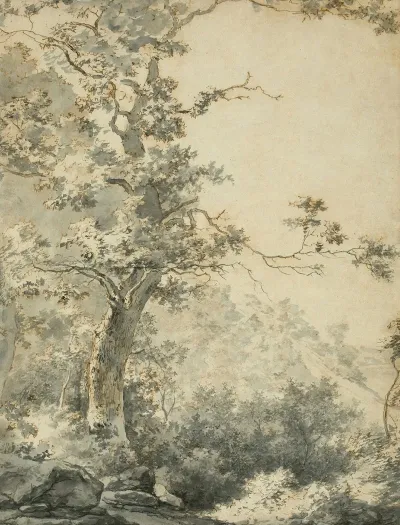 Landschaft Mit Baum