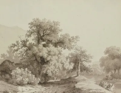 Landschaft Mit Grosen Baumen