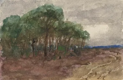 Landschap 6