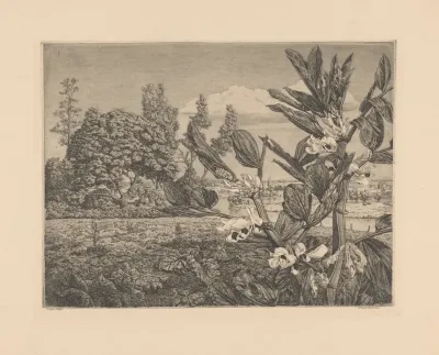 Landschap Met Bloemen