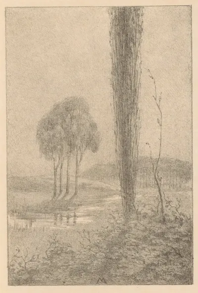 Landschap Met Bomen En Beek