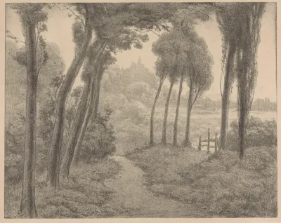 Landschap Met Bospad