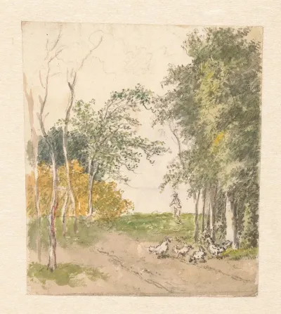 Landschap Met Kippen Langs De Weg