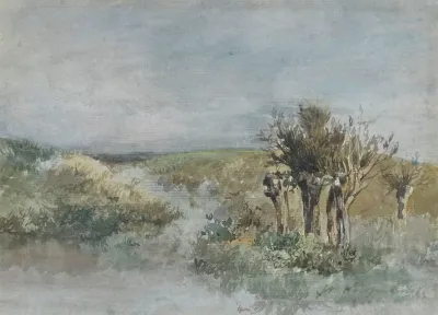 Landschap Met Knotwilgen Langs Een Sloot
