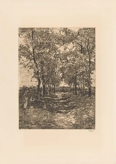 Landschap Met Smalle Laan