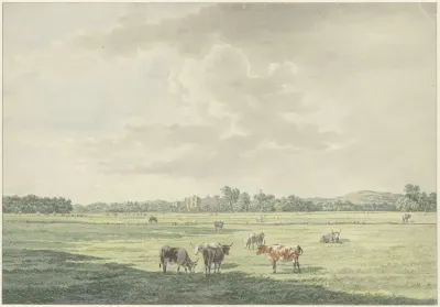 Landschap Met Weiland En Koeien Op De Voorgrond En In De Verte De Ruine Van Brederode
