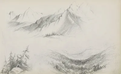 Landschappen Met Bergen En Dennenbomen