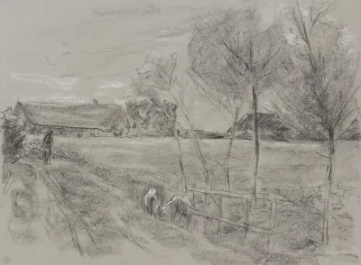 Landweg In Holland Vorne Zwei Ziegen
