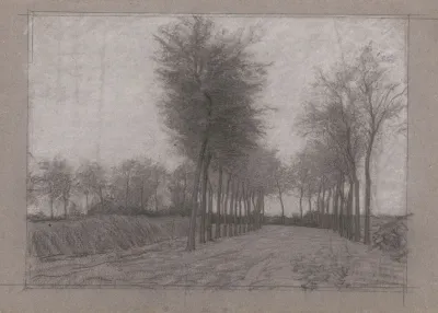 Landweg Met Bomen Aan Weerszijden