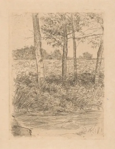 Landweg Met Bomen Bussum