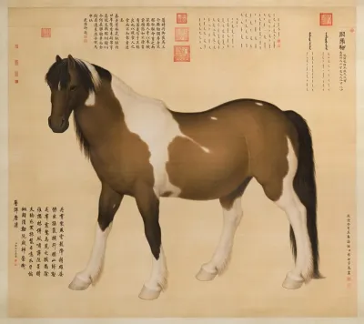 Lang Shih Ning
