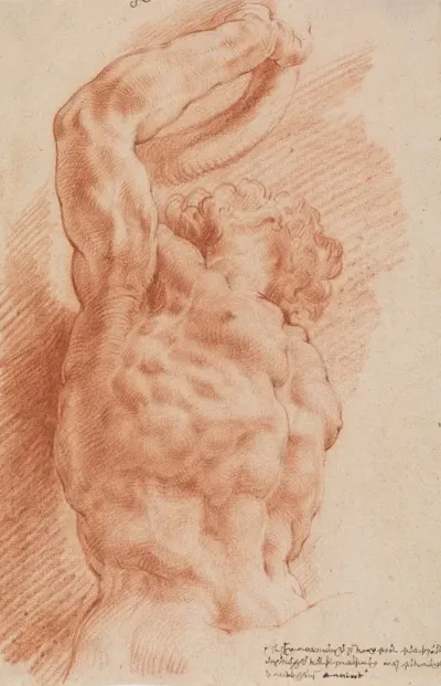 Laocoon Laocoons Torso Seen From Below From The Right