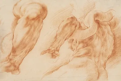 Laocoon Studies Of Laocoons Left Arm And Of The Back Of His Torso Seen From The Left And From Below
