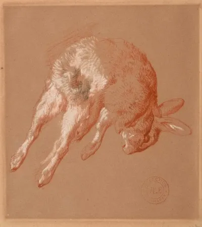 Lapin