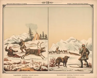 Laplandsk Landskab Nordsibirisk Landskab