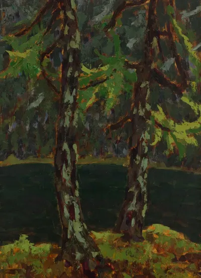 Larch Trees By The Lake In Dobiacco