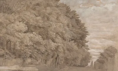 Large Forest