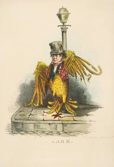 Lark