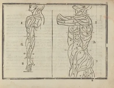 Lart De Dessiner De Maistre Jean Cousin Pl 14