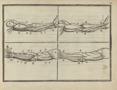 Lart De Dessiner De Maistre Jean Cousin Pl 15