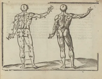Lart De Dessiner De Maistre Jean Cousin Pl 22
