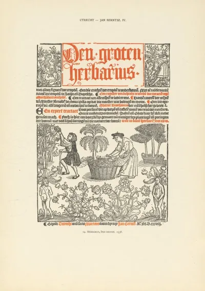 Lart Typographique Dans Les Pays Bas Pendant Les Annees 1500 A 1540 Pl 120
