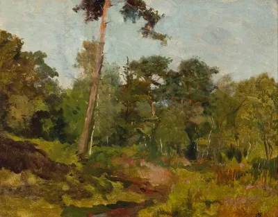 Lasek Bulonski