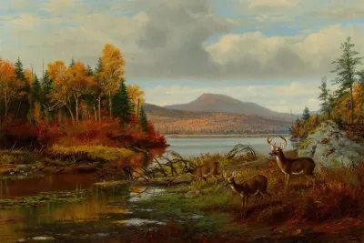 Late Autumn Long Lake Hamilton Co New York Adirondacks