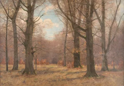 Late Fall In The Beech Forest 2