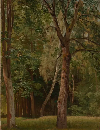 Laubwald Mit Kastanien Und Birken