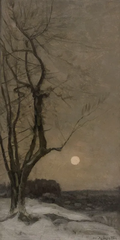 Le Bois De Chaville