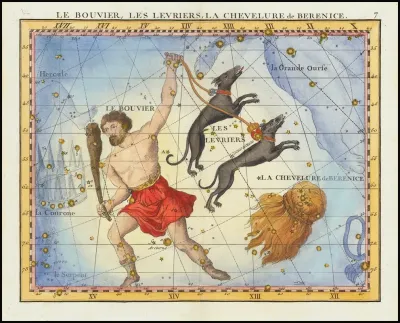 Le Bouvier Les Levriers La Chevelure De Berenice Comae Berenices Bootes Cannes Venatici