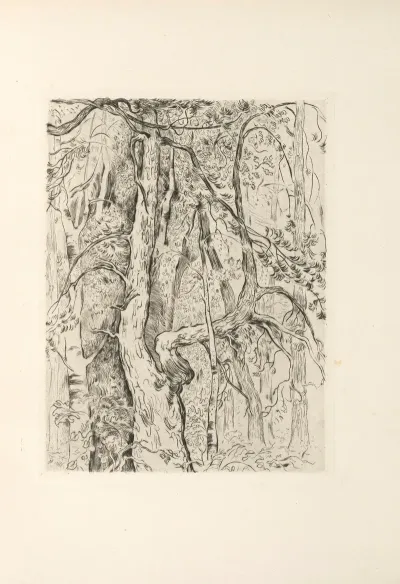 Le Centaure Suivi De La Bacchante Pl 02