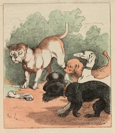 Le Chien Du Jardinier