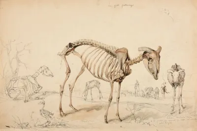 Le Gras Paturage