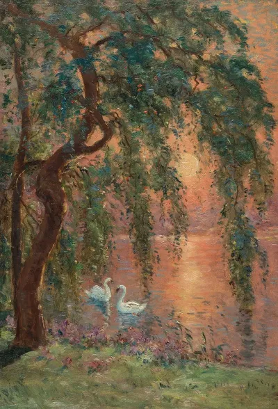Le Lac Damour Le Saule Pleureur