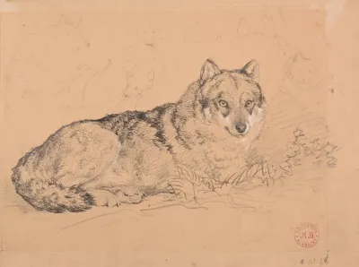Le Loup