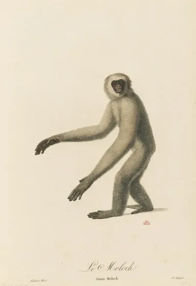 Le Moloch