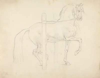 Le Piaffer Dressage Position