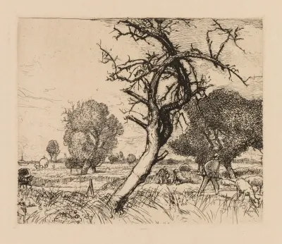 Le Pommier Mort Picardie