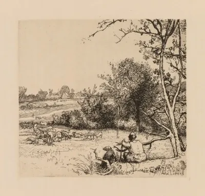 Le Pommier Renverse Picardie