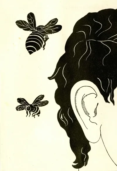 Le Quinuryl Bourdonnements D Oreilles