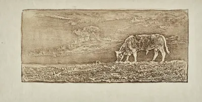 Le Taureau 2