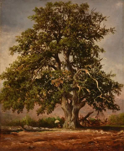 Le Vieux Chene 2