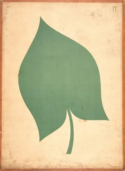 Leaf