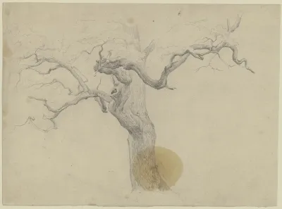 Leafless Tree 3