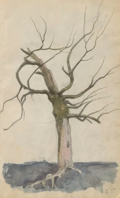 Leafless Tree 4