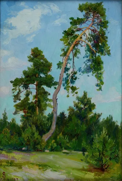 Leaning Pine