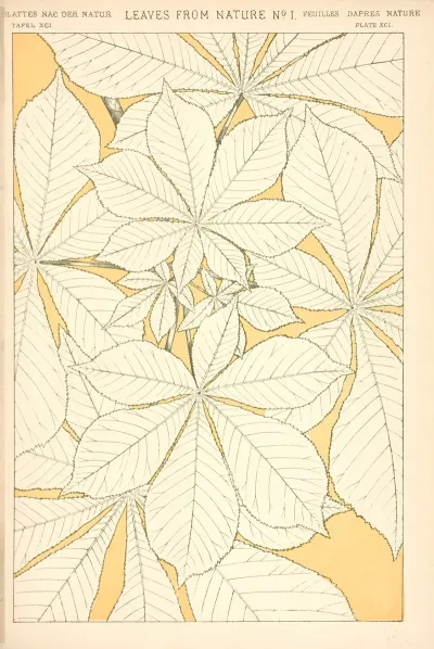 Leaves From Nature No 1 3